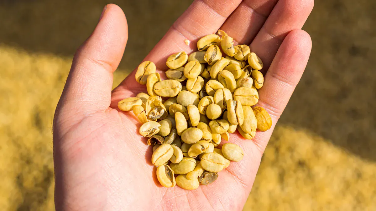 How AI optical sorter learned to spot a bad bean