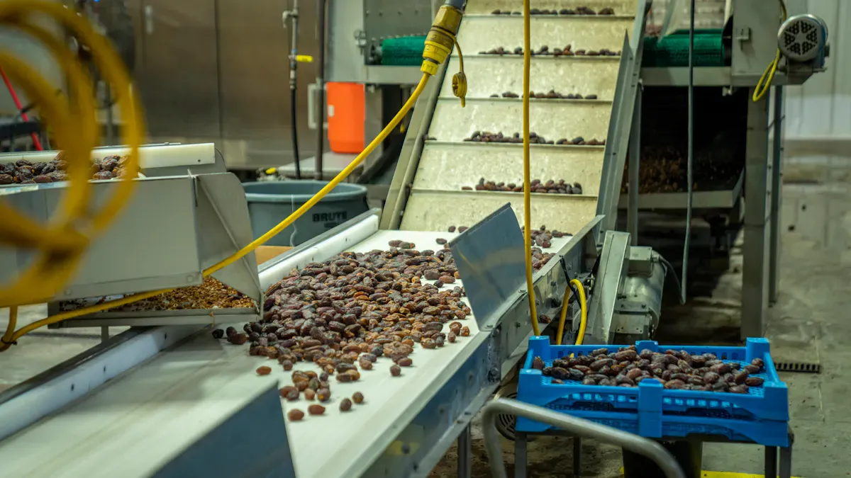 In-shell nut sorting process