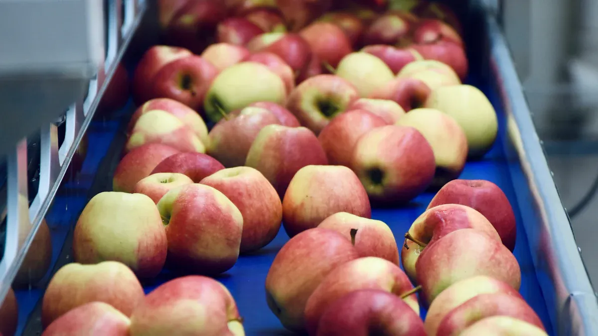 What Makes Belt Optical Sorter Stand Out in Food Sorting