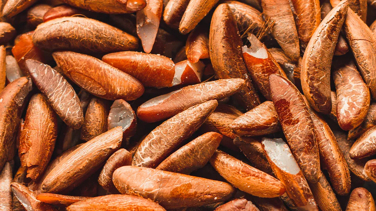 What is a Pine Nut Sorter and How does AI Pine Nut Sorter Work