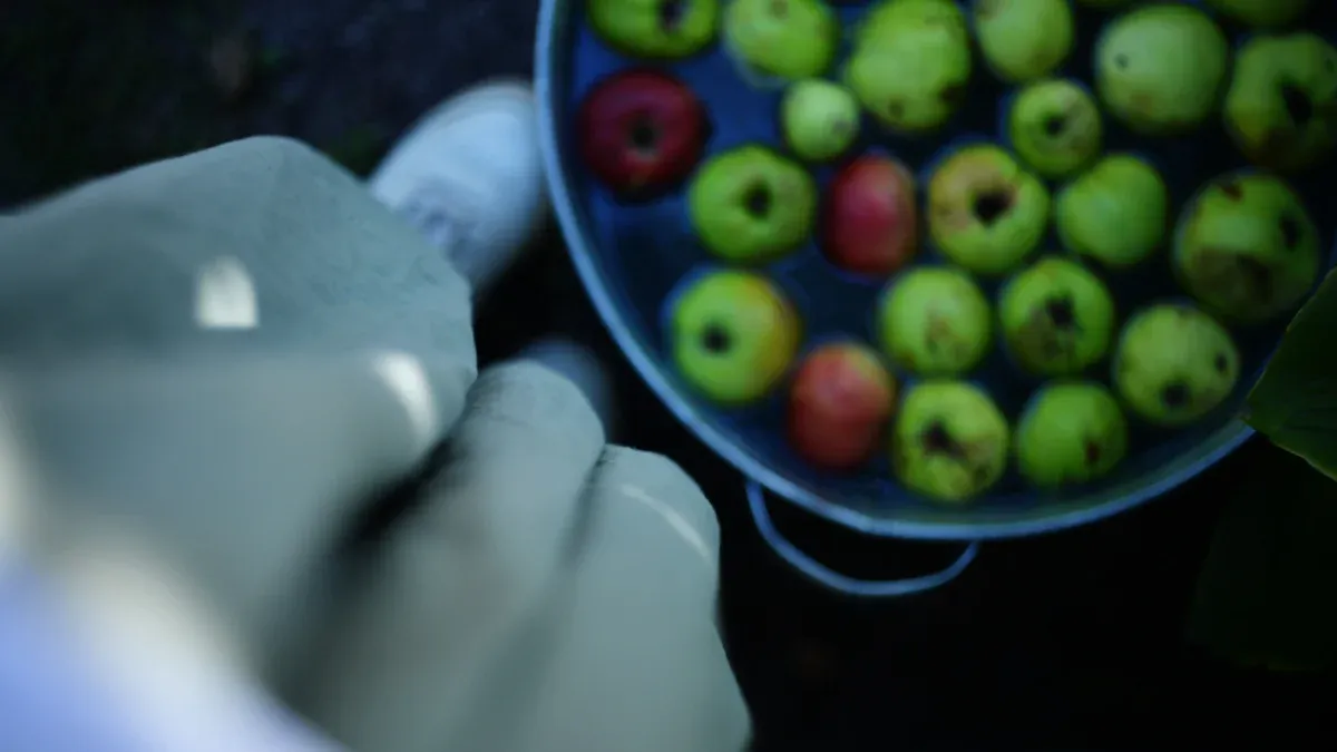 Precision and Accuracy