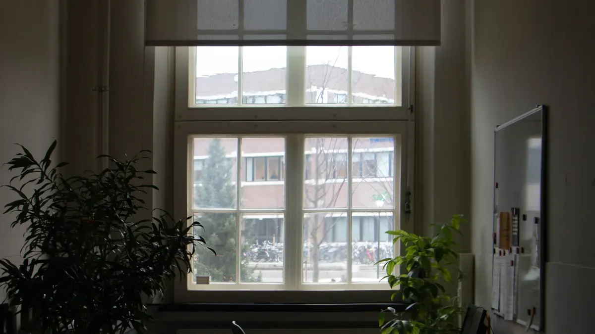 The Value of Natural Light in the Office