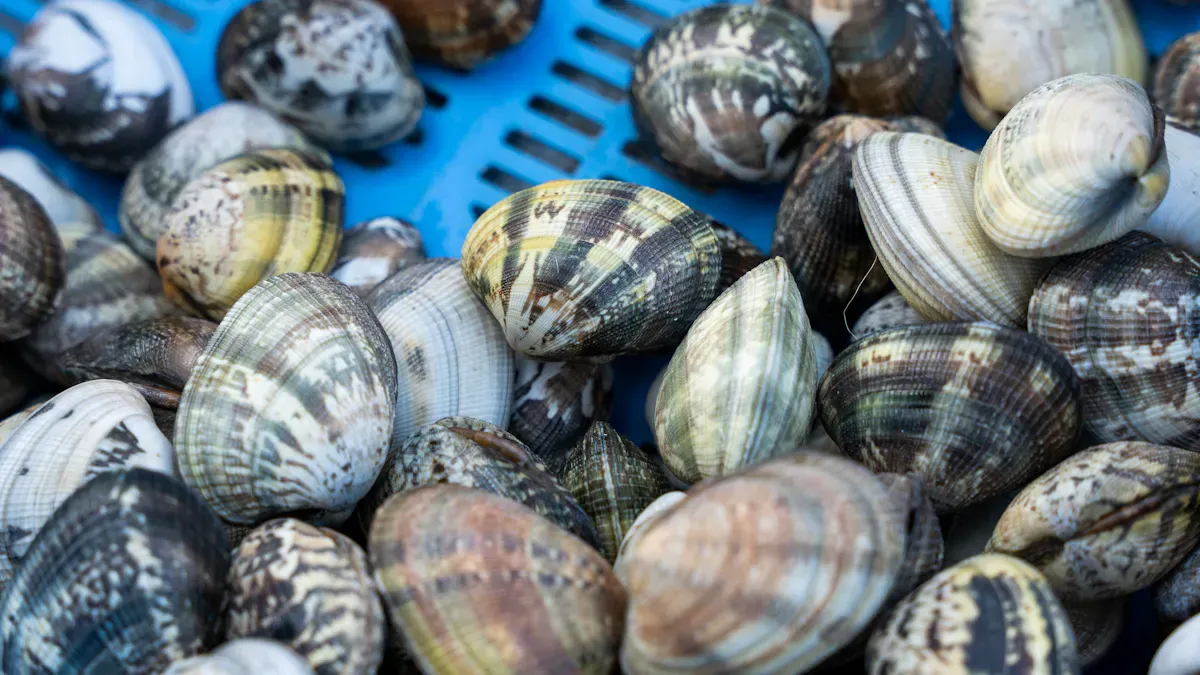 Shellfish X-Ray Inspection Challenges