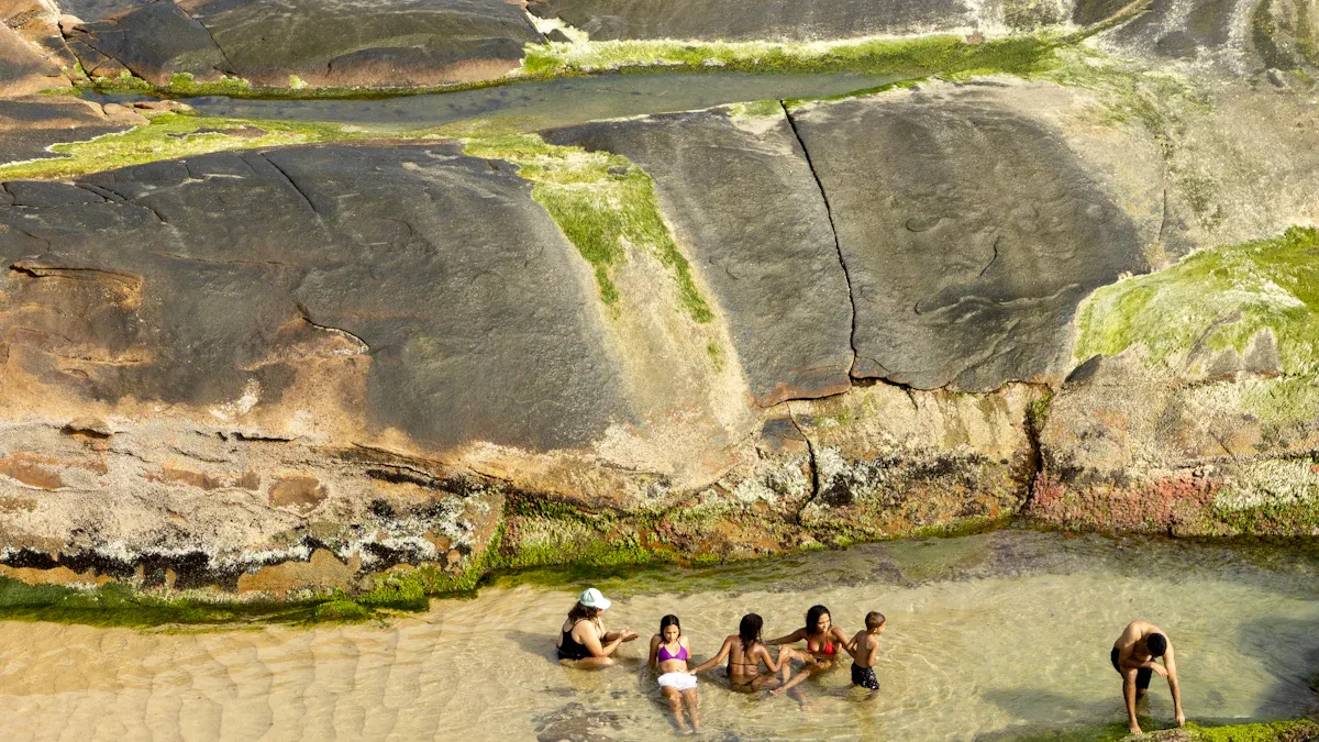 כיצד מתרחש זיהום