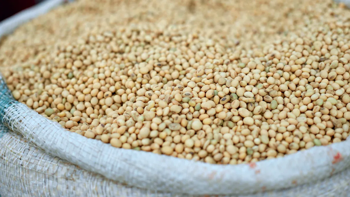 Chickpea Sorting Machine Overview