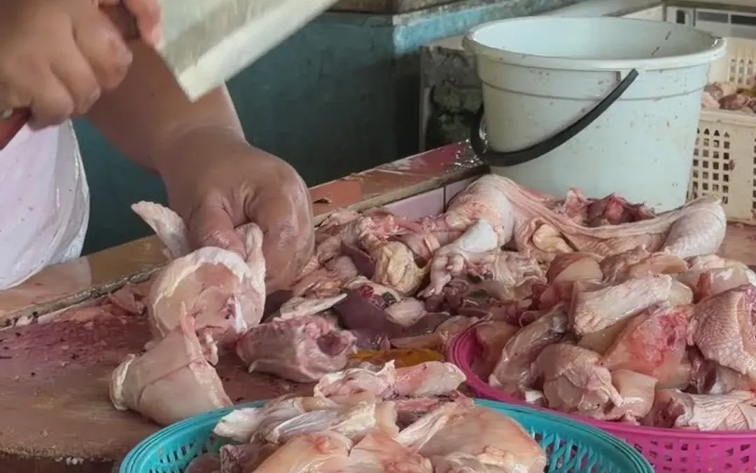 What is chicken cartilage extract?