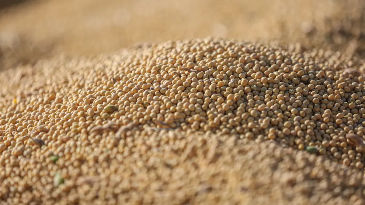 How Does a Sesame Optical Sorter Work? The Perfect Blend of AI and Optical Technology