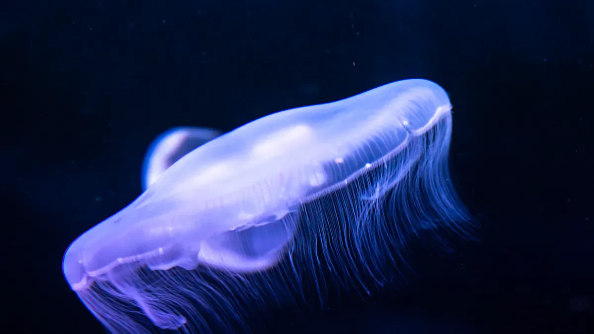 Fish Gelatin Features