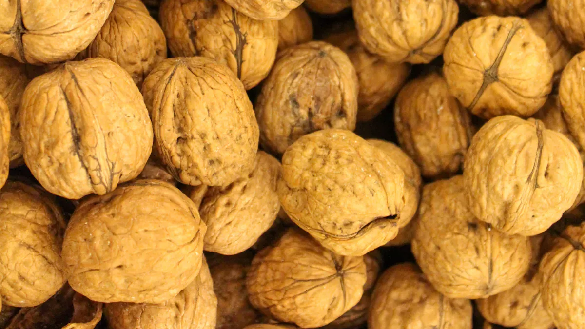 What is In-shell nut sorting