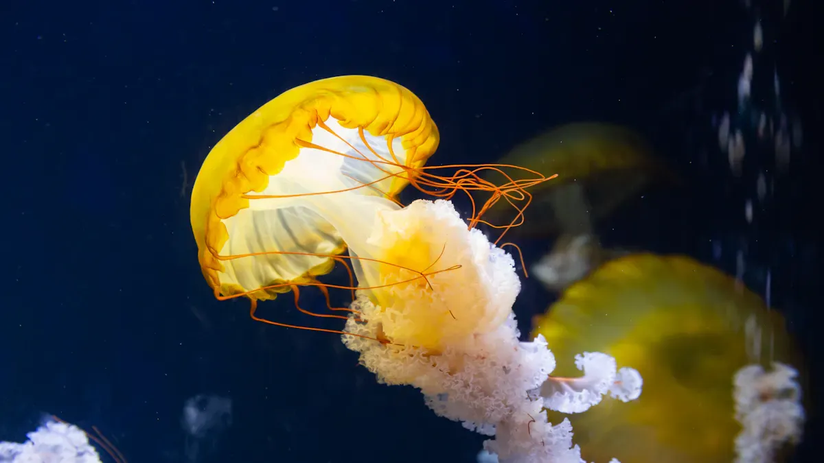 Fish Gelatin vs Bovine and Pork Gelatin What Sets Them Apart