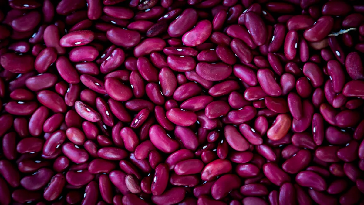 How RaymanTech AI Optical Sorter Solves Common Kidney Bean Sorting Problems