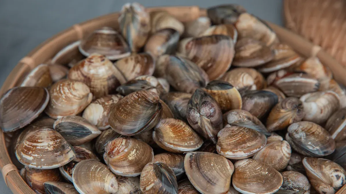 How to Improve Shellfish Quality with X-Ray Inspection