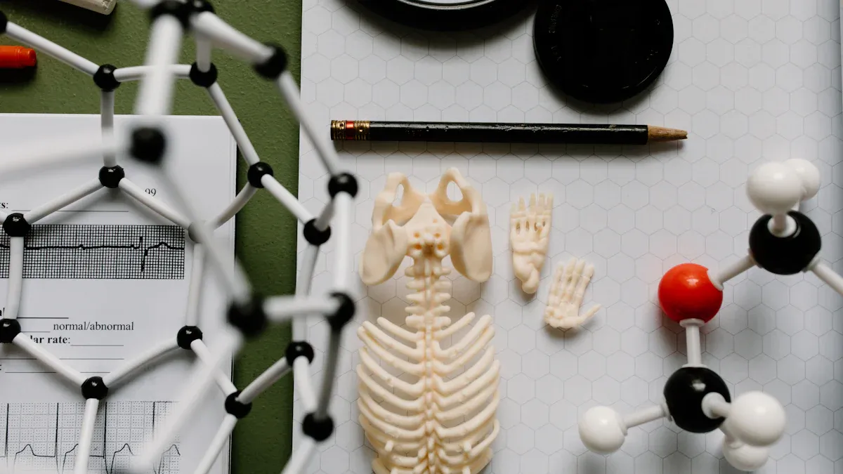 Dual Energy X-Ray Technology Explained