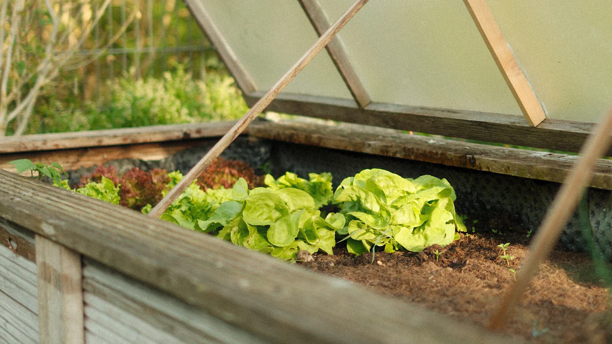 Types of Raised Garden Beds