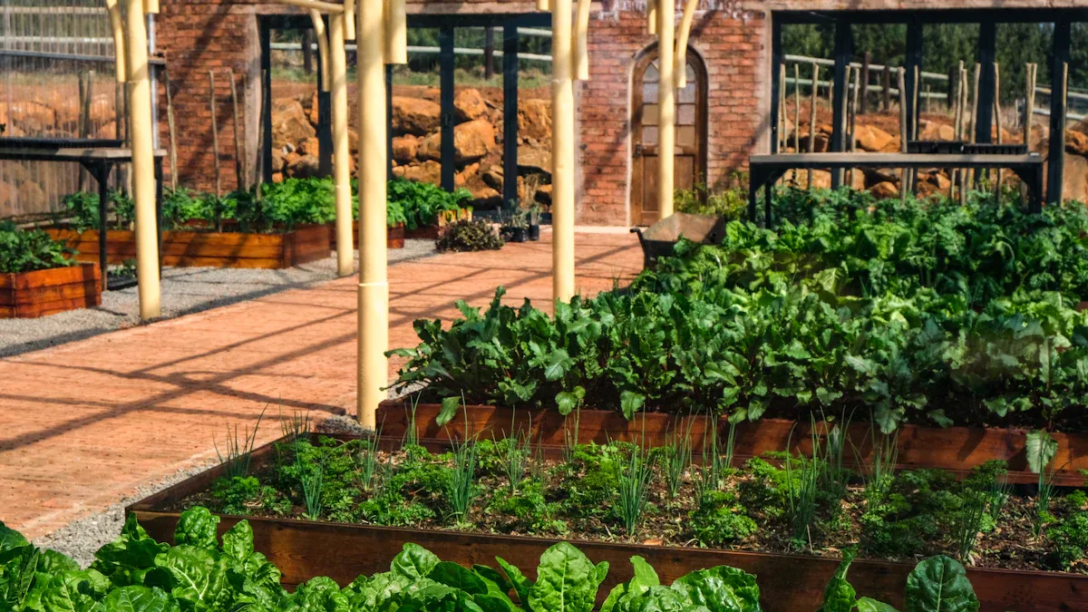 Choose Height for Raised Garden Bed