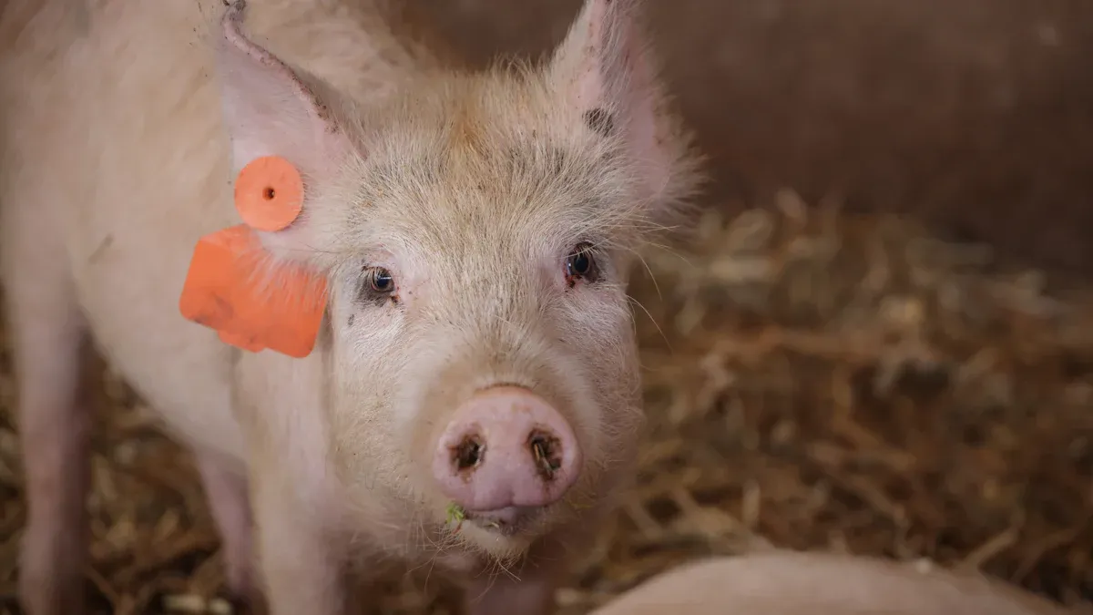 UHF RFID in Modern Applications