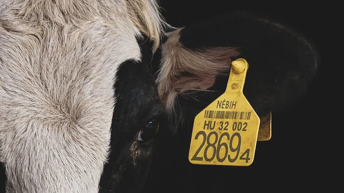 Livestock RFID ear tag manufacturer