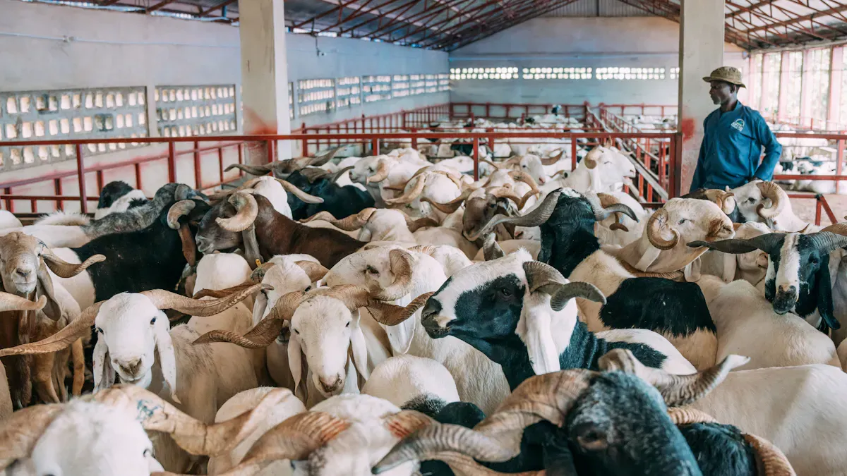 Evaluating 2.4G Animal Ear Tag Suppliers