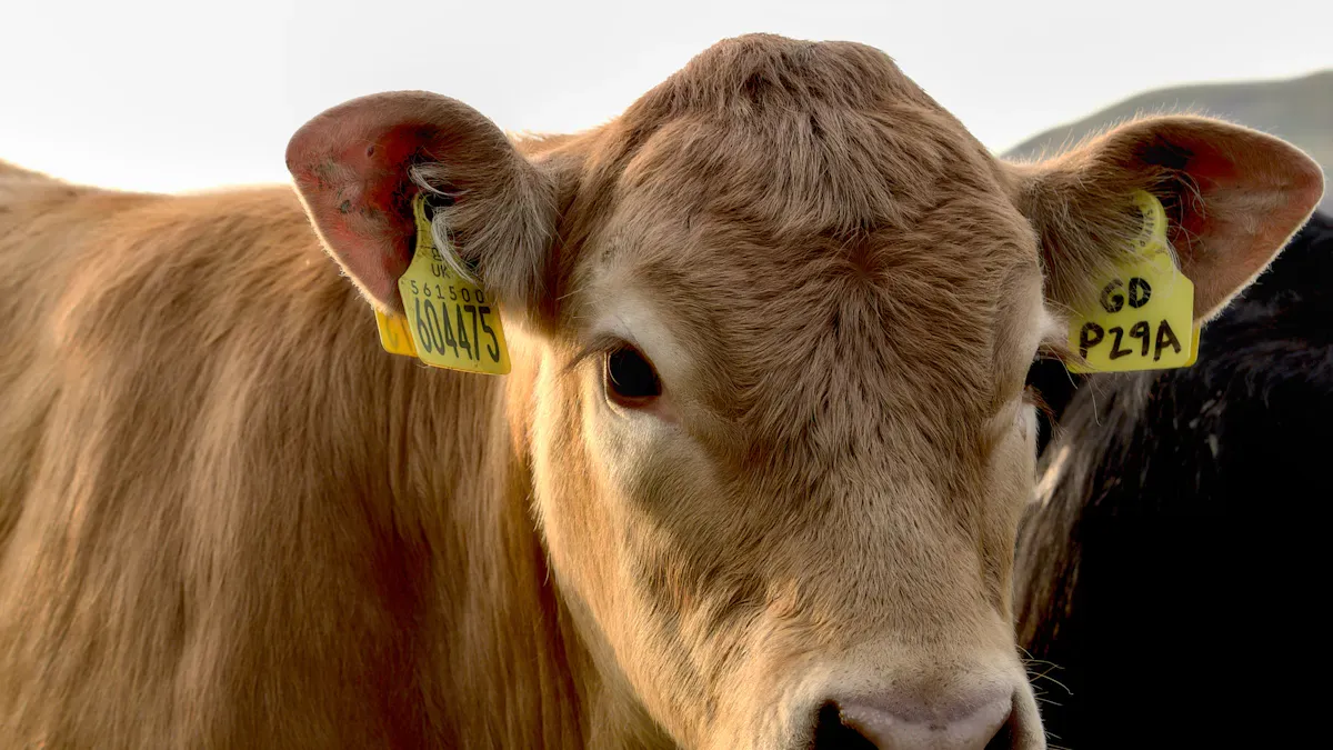 Livestock RFID Benefits