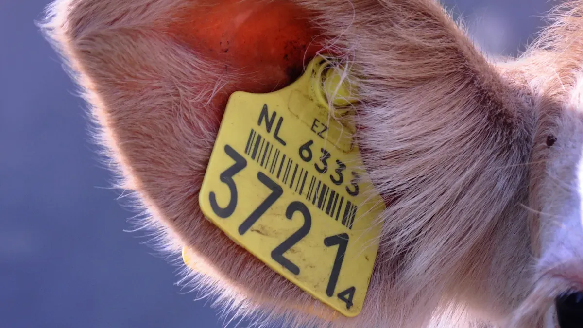 Looking for a trusted 2.4G RFID animal tracking solution provider