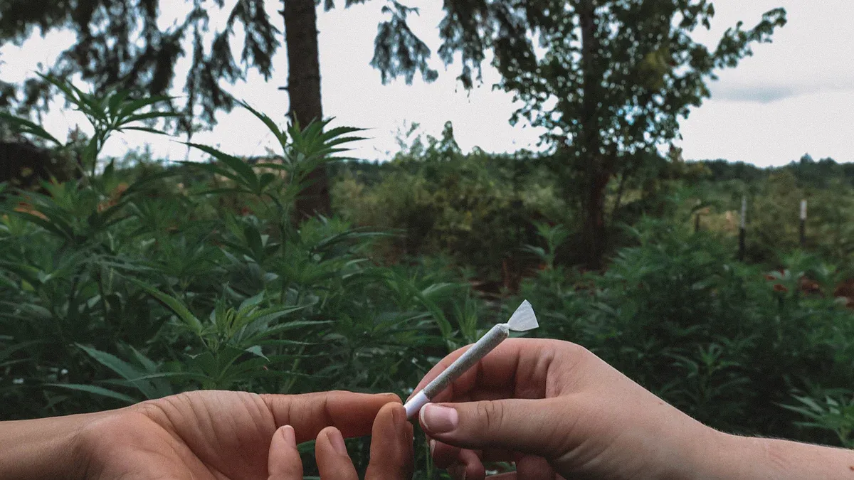 Muha Meds Disposable 2-Gram Vape