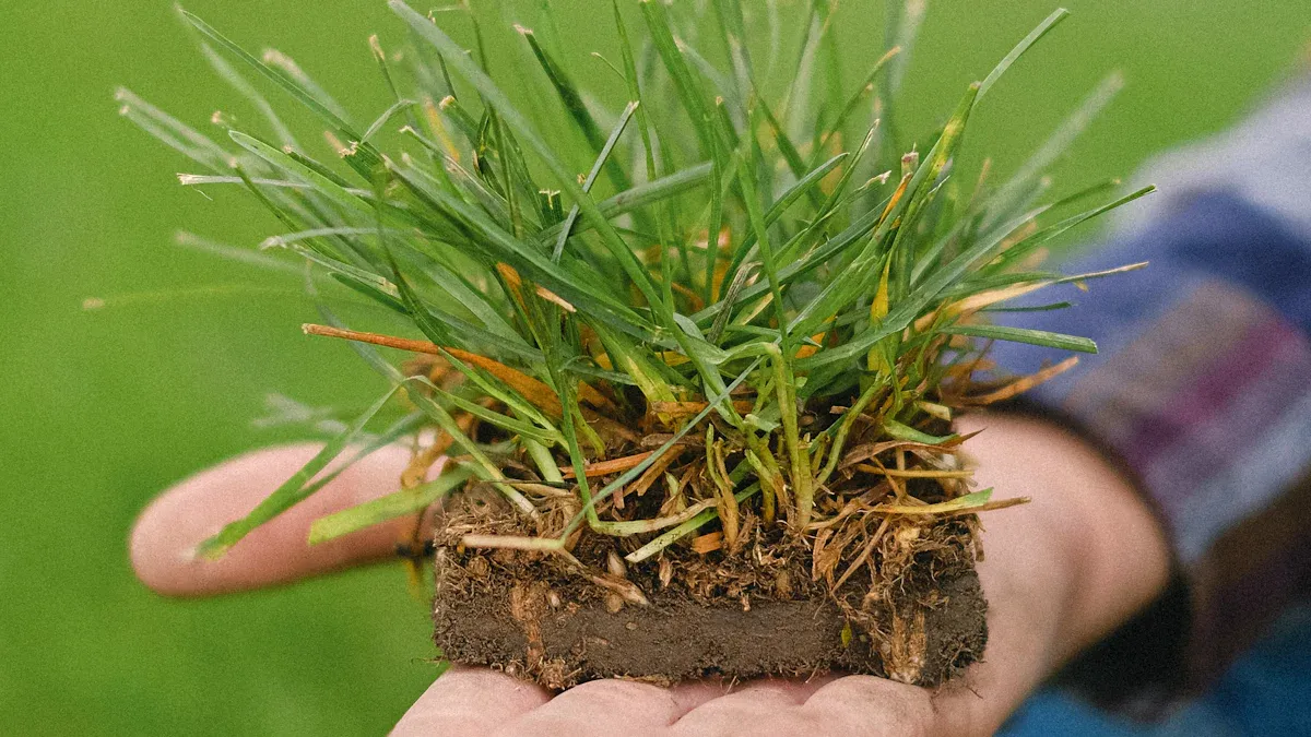 Understanding Golf Course Aeration and Its Importance