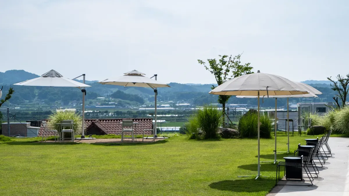 Outdoor Patio Umbrella Shapes