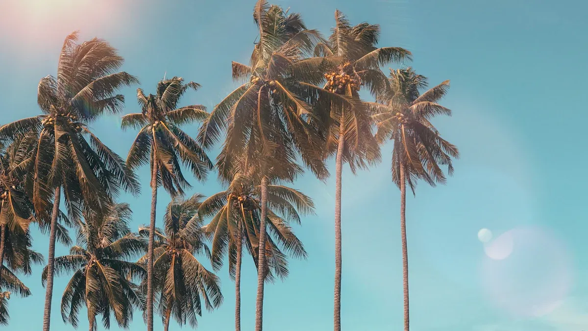 Top Trending Summer Products to Sell