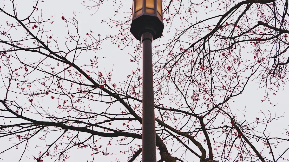 Hot-Dip Galvanized vs Painted Street Lamp Poles: Key Differences