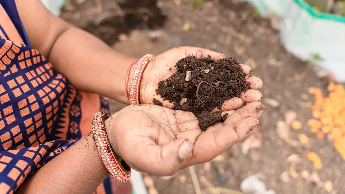 Organic vs Chemical Fertilizers