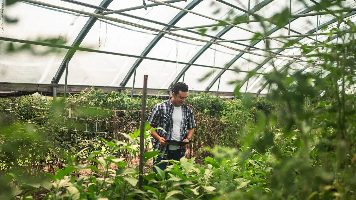 China Organic Fertilizers: Production Trends