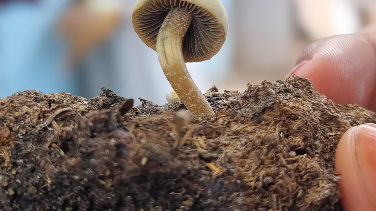 Healthy Soil and Biodiversity