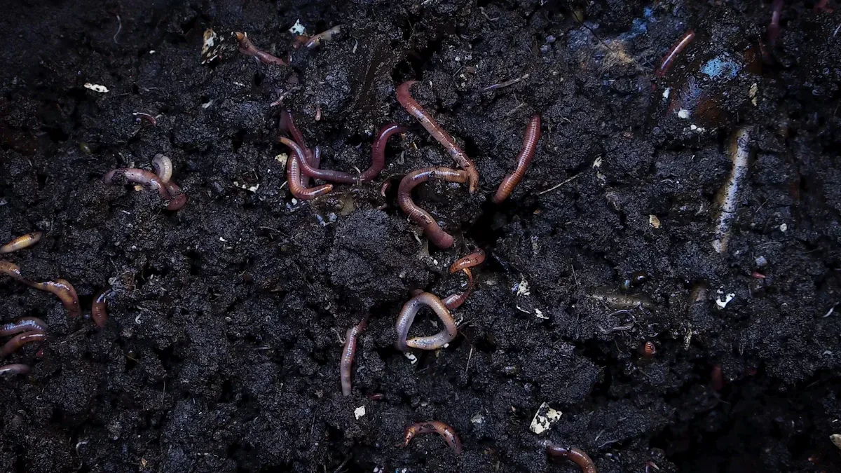 Soil Health And Environmental Impact