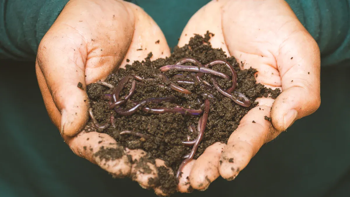 Plant Organic Fertilizer Benefits