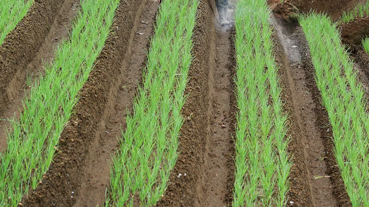 China organic fertilizers by the numbers how they compare