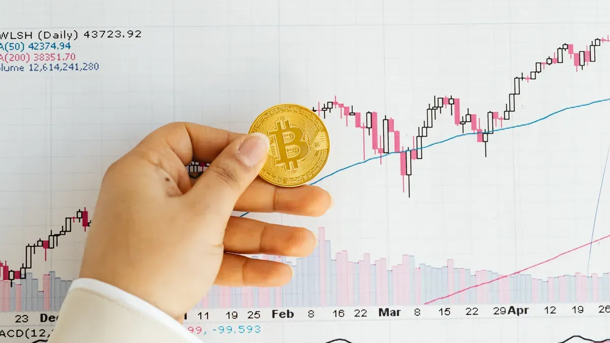 Stablecoins vs BTC: Price Volatility