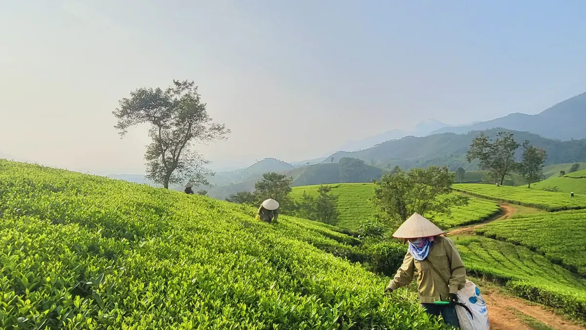 Comparing Top-Up Channels for Vietnamese Users