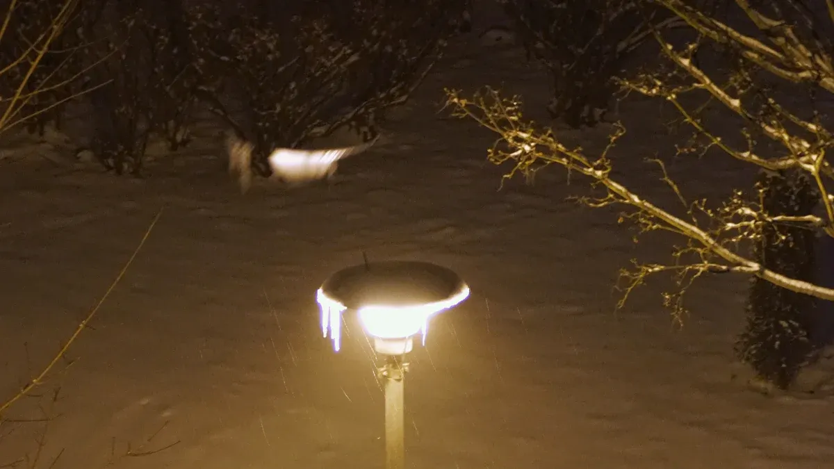 Solar Lights in Winter