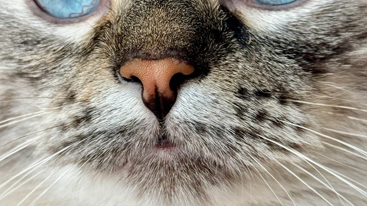 Capturing Pet Personality
