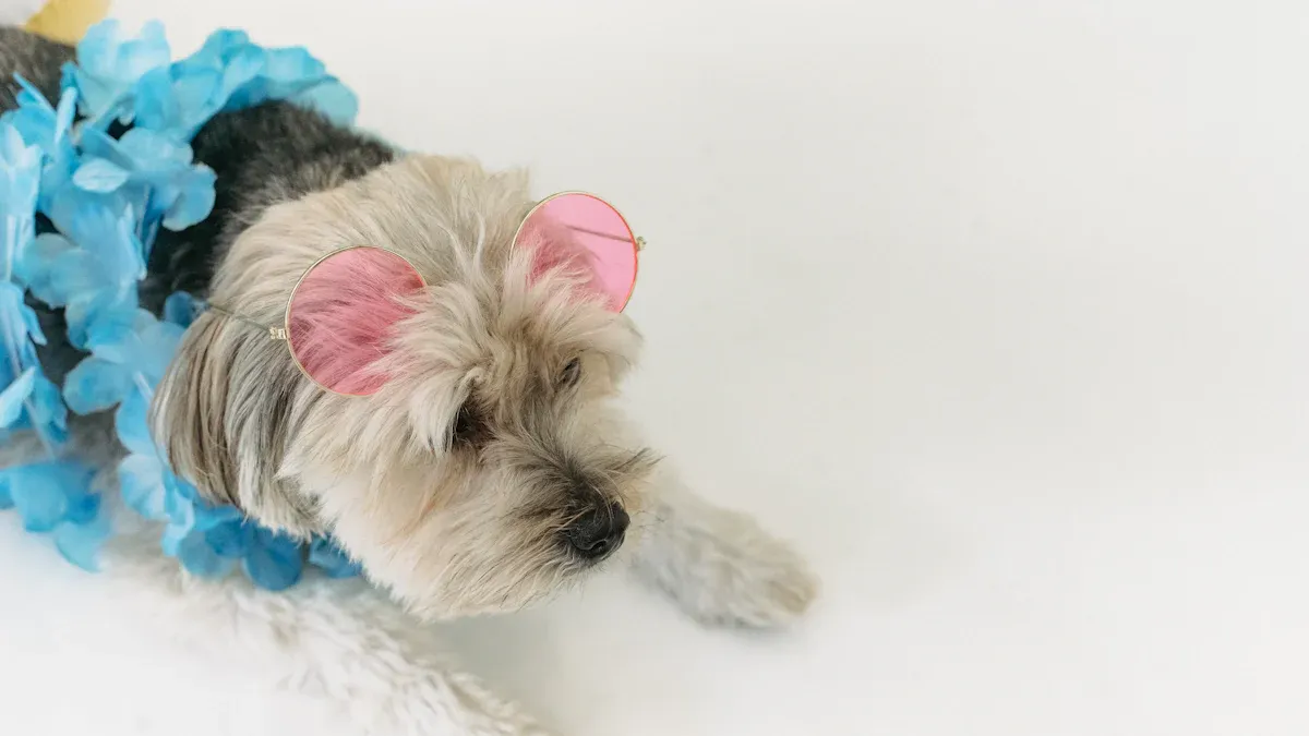 Custom Pet Wool Felt Portraits