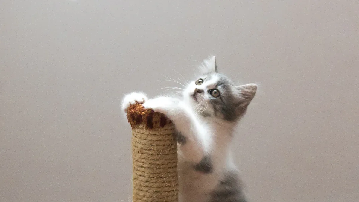 Interactive Cat Toys