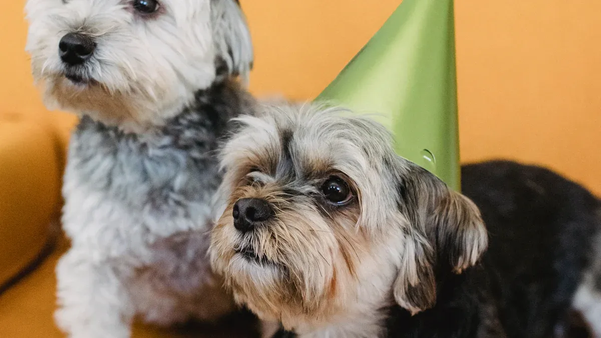 Bereavement Gifts for Loss of Dog
