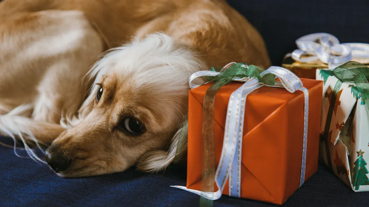 Types of Thoughtful Gifts for Pet Loss