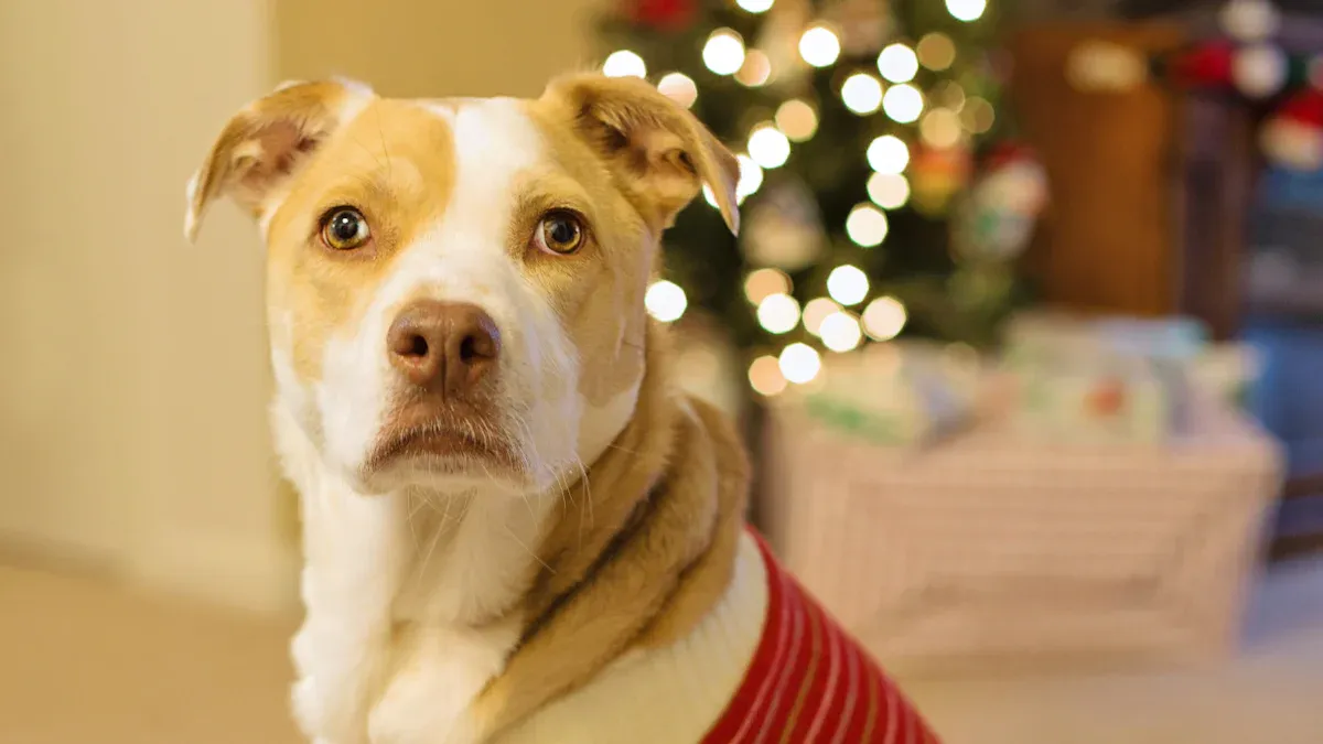 Personalizing Your Dog Memorial Ornament