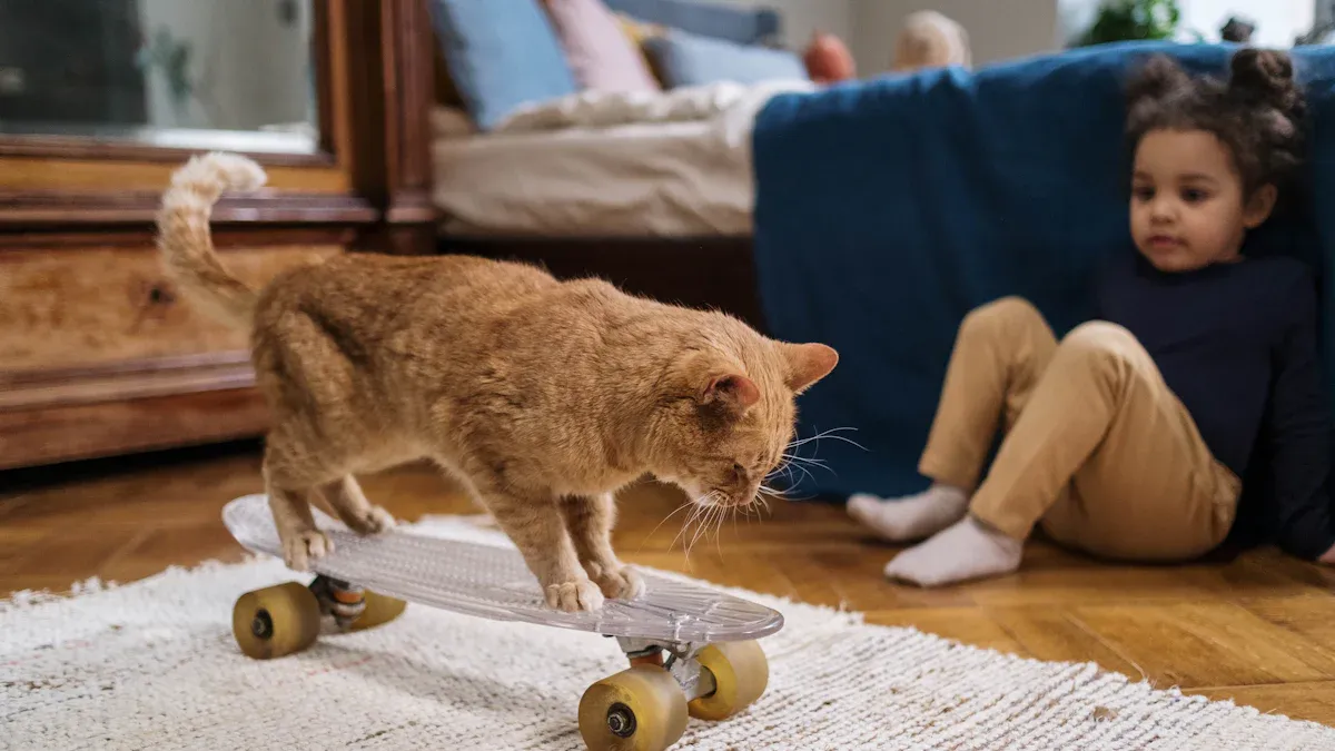 Toys & Enrichment