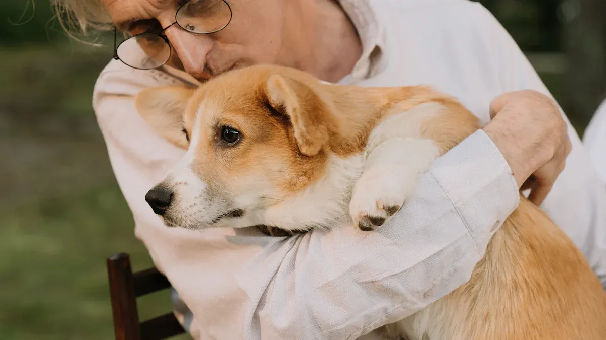 Pets for Older Adults
