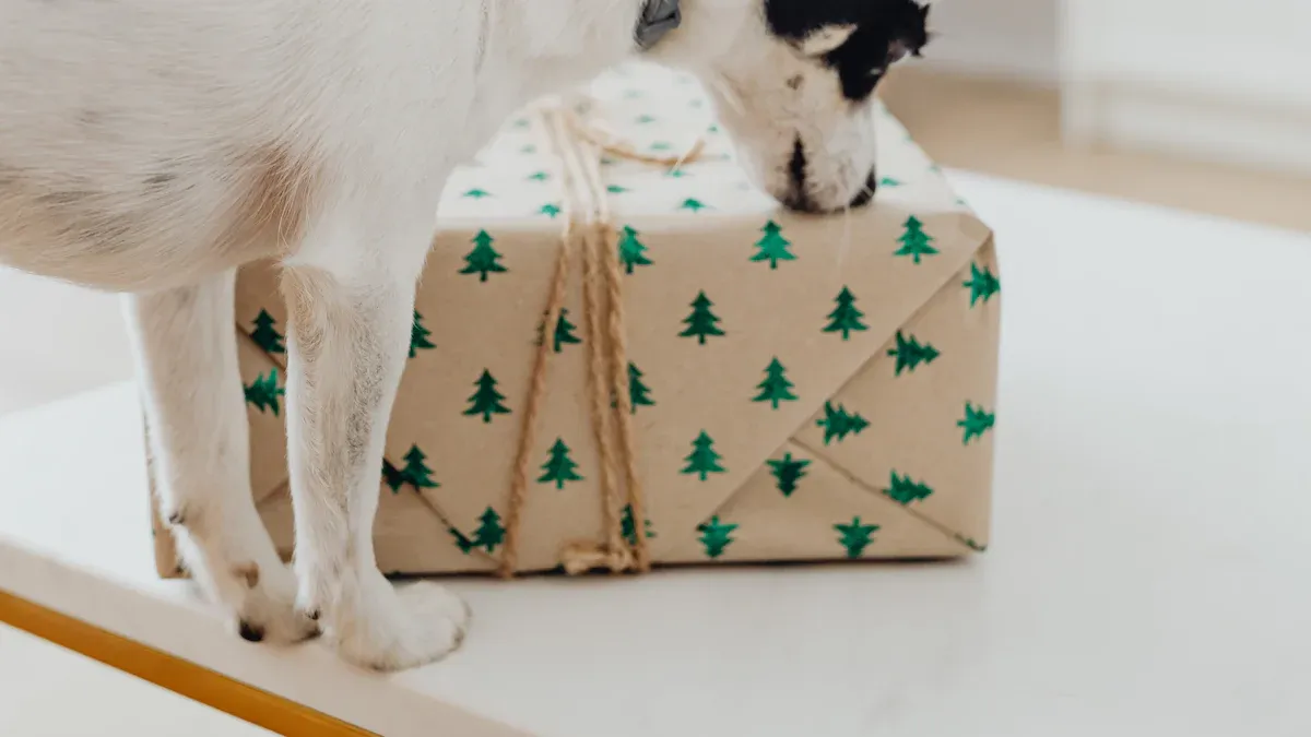 Dog Memorial Ornament Options