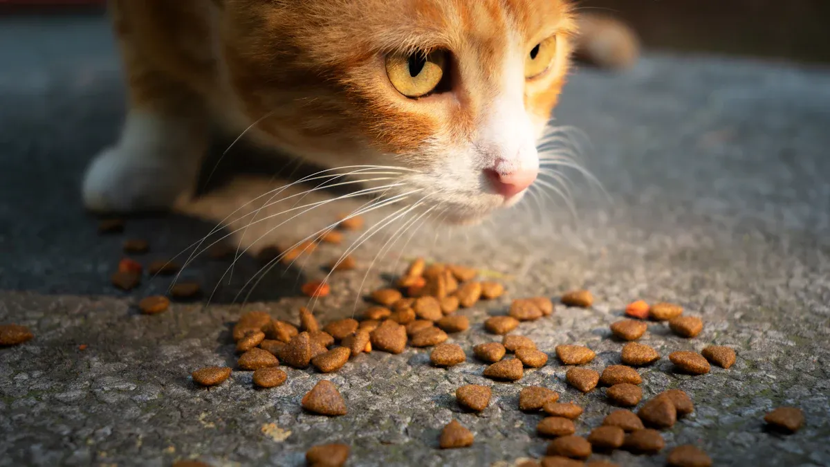 Feeding & Treats