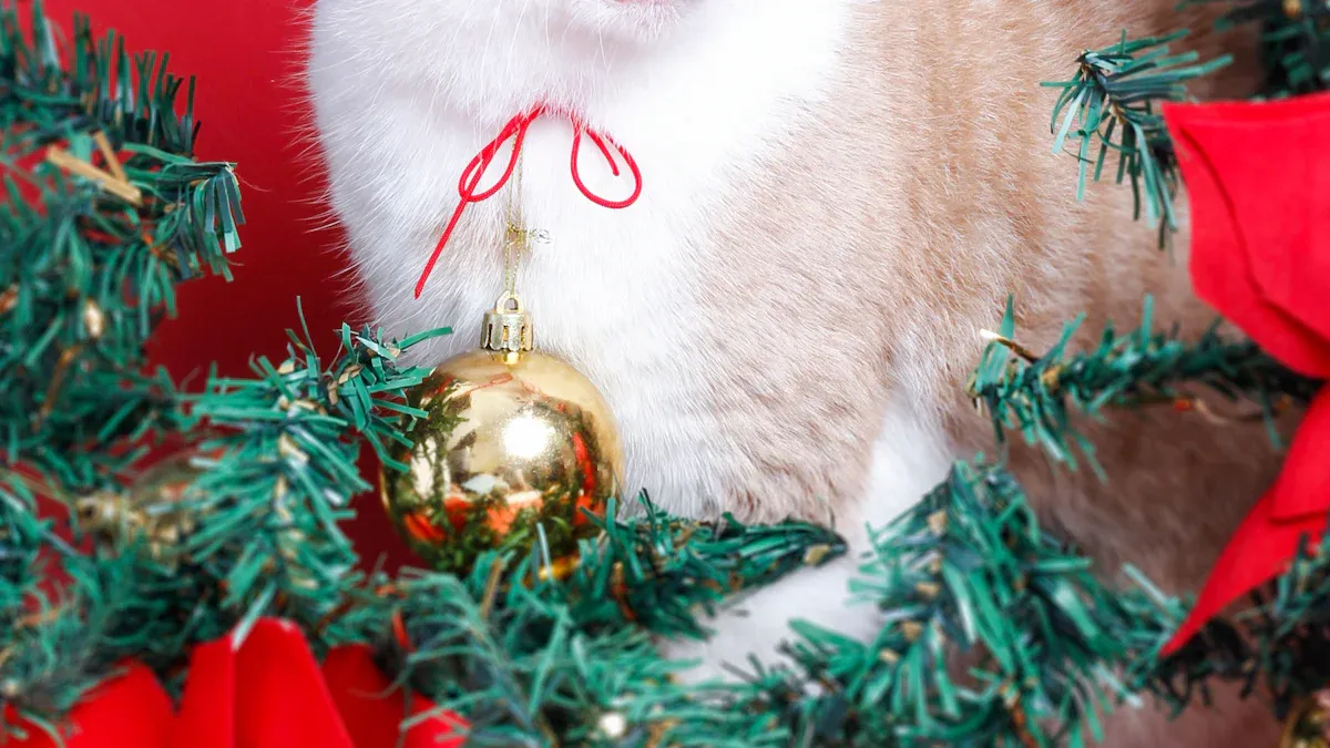 Holiday-Themed Cat Gifts