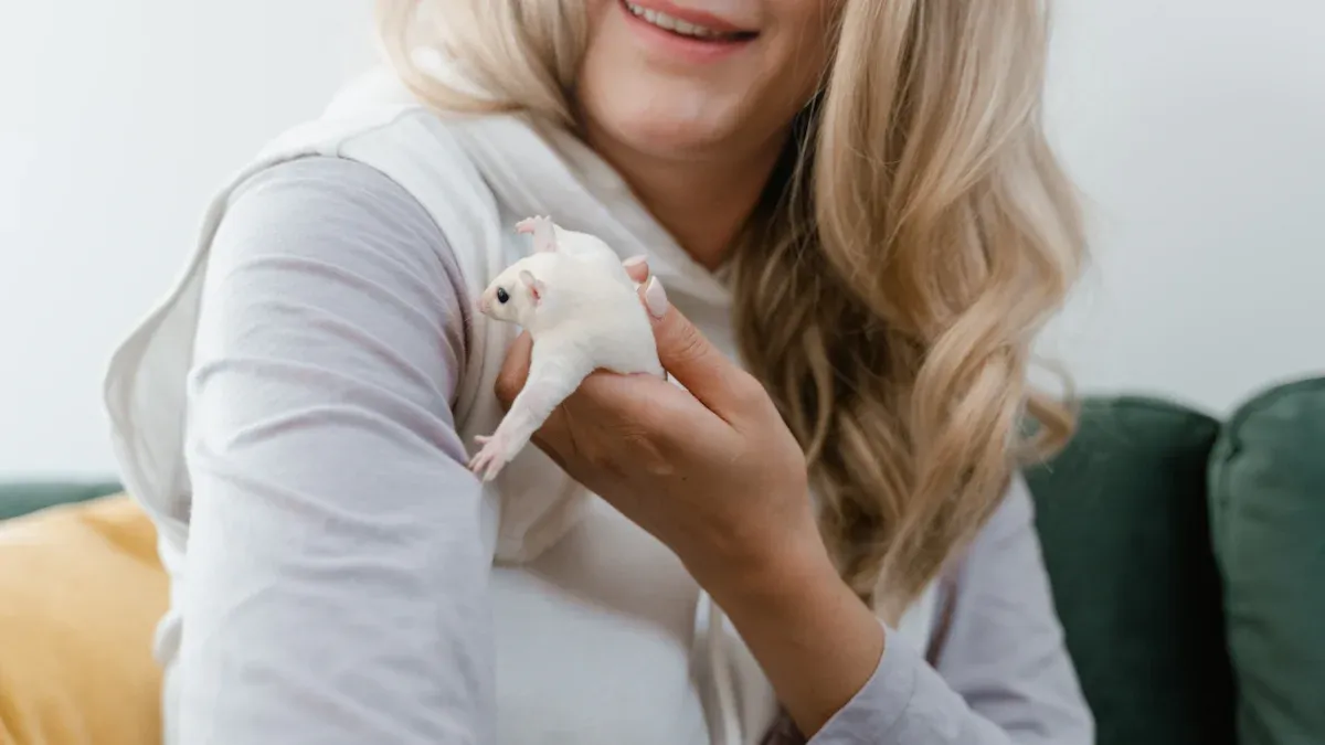The Healing Power of Pet Remembrance Stuffed Animals